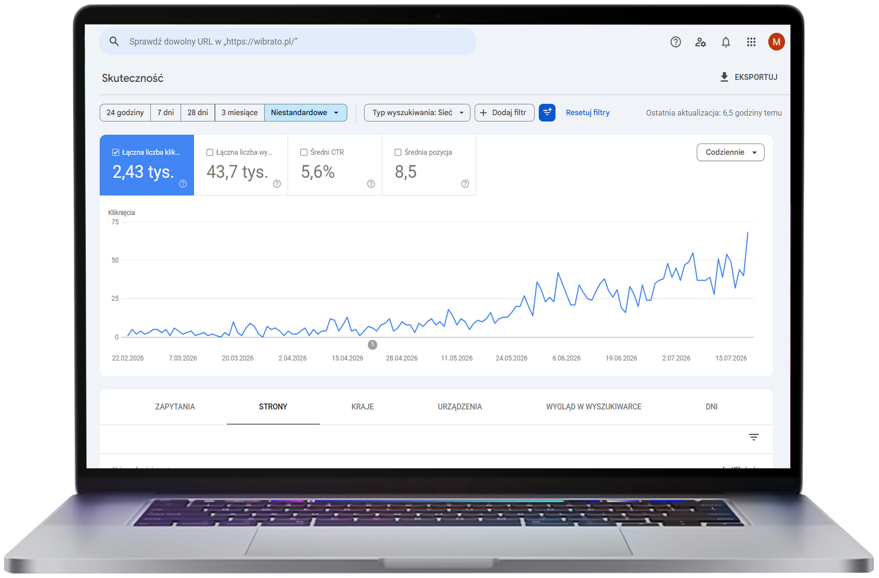 Wzrost ruchu organicznego sklepu Wibrato.pl w Google Search Console